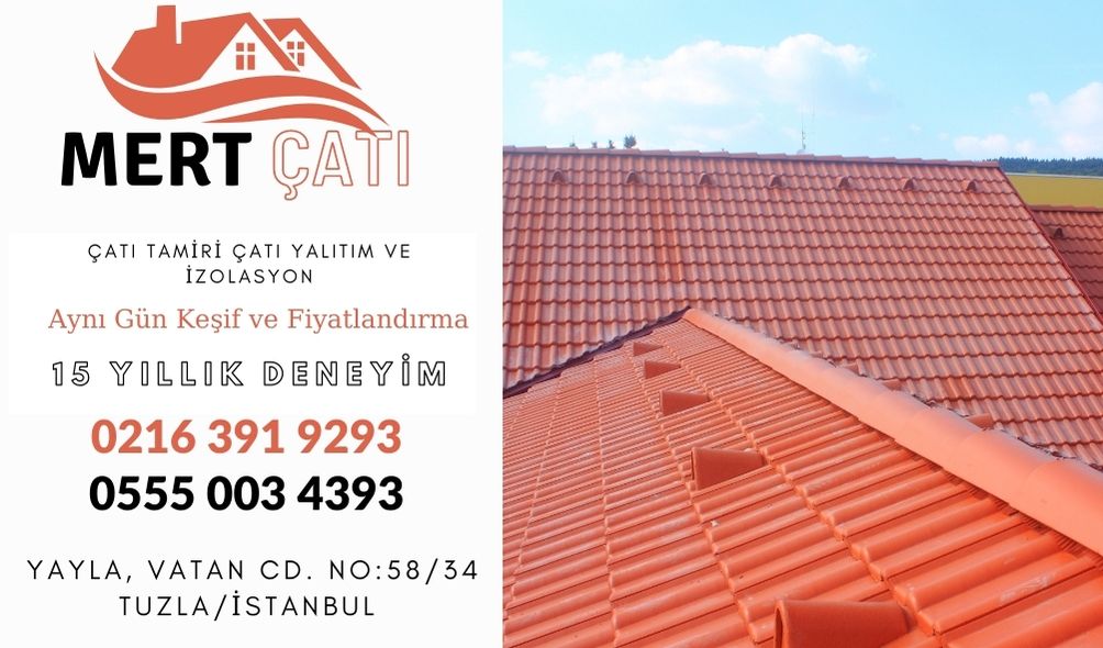 istanbul-catı4